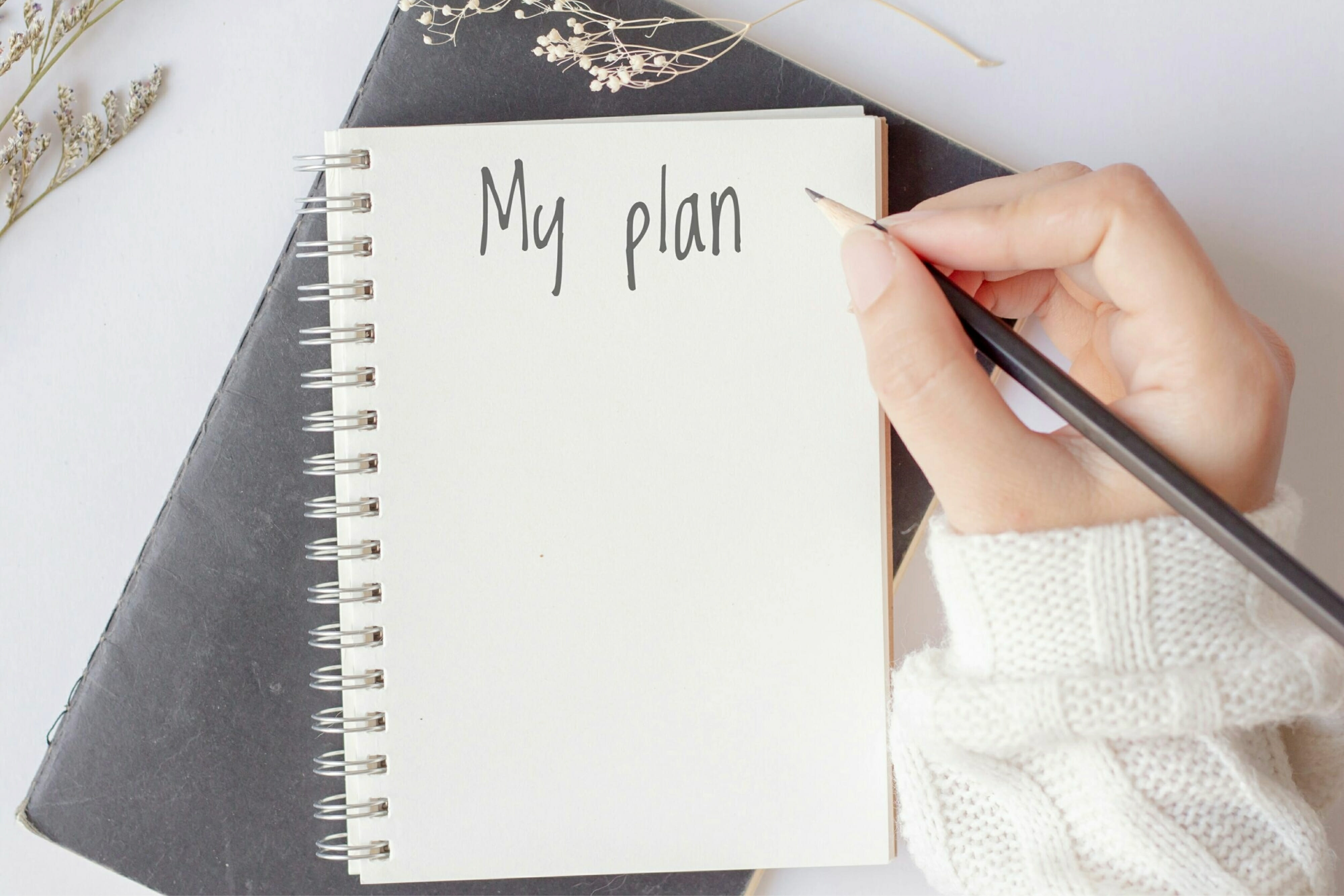 Woman hand holding a pencil with the text 'my plan' on a white notebook on the office desk